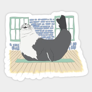 SEAL OCEAN YOGA EXERCISE MAT GYM ANIMAL Sticker